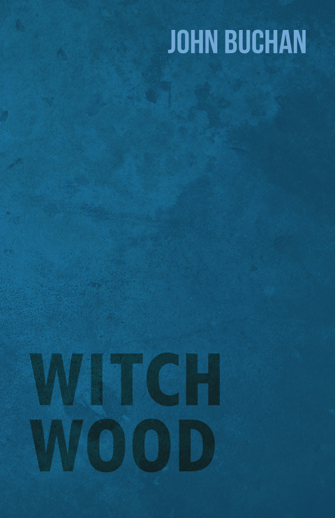 Cover image for book Witch Wood