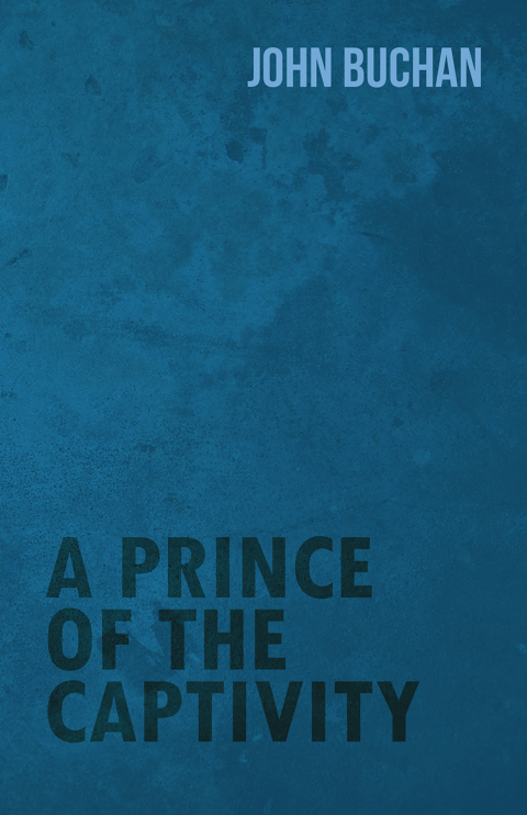 Cover image for book A Prince of the Captivity