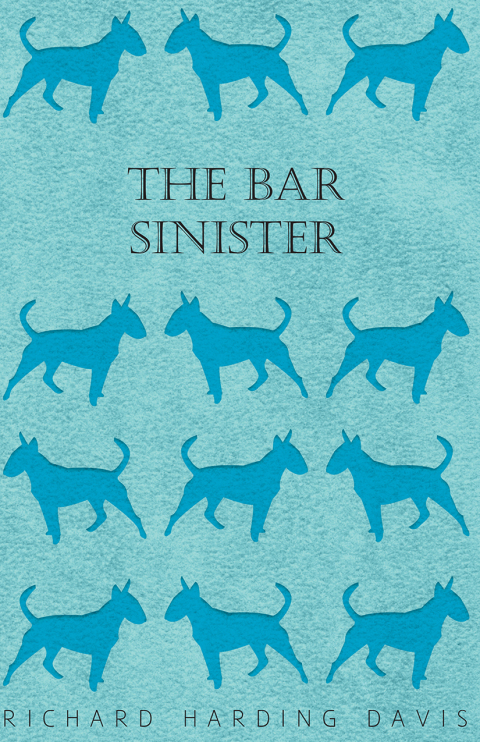 Cover image for book The Bar Sinister