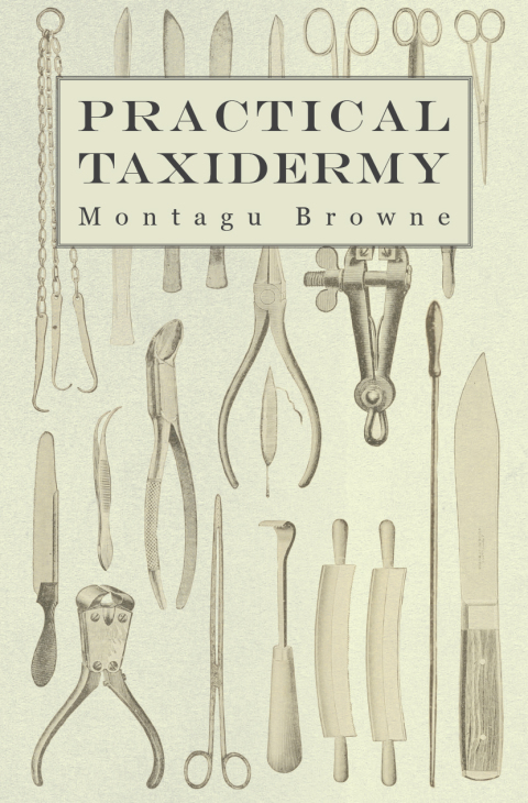 Cover image for book Practical Taxidermy