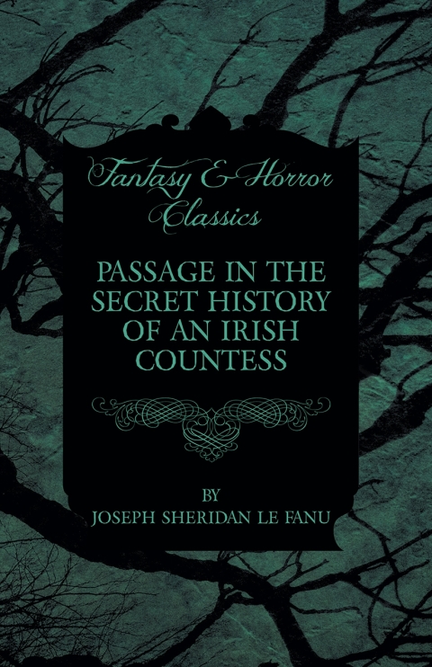 Cover image for book Passage in the Secret History of an Irish Countess