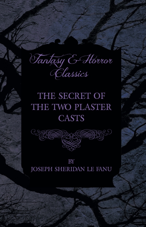 Cover image for book The Secret of the Two Plaster Casts