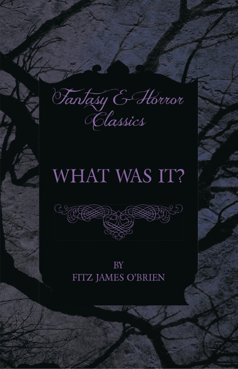 Cover image for book What Was It?
