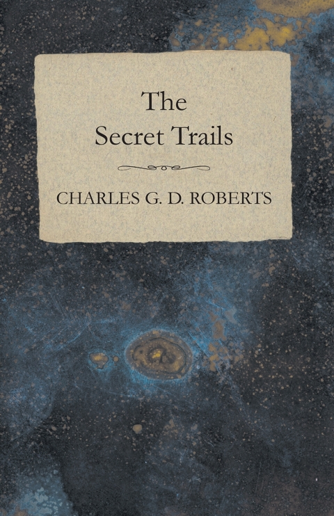 Cover image for book The Secret Trails