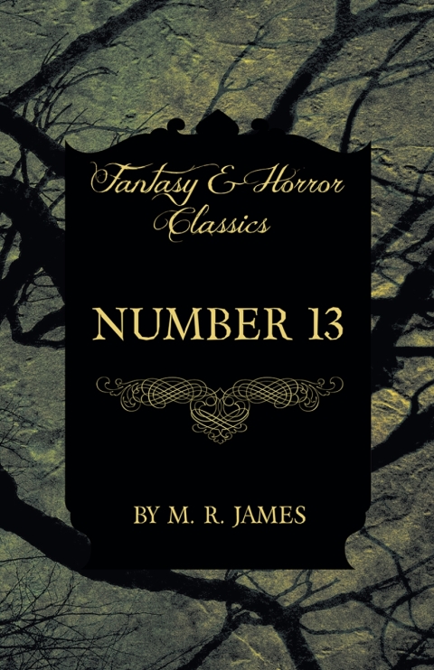 Cover image for book Number 13 (Fantasy and Horror Classics)