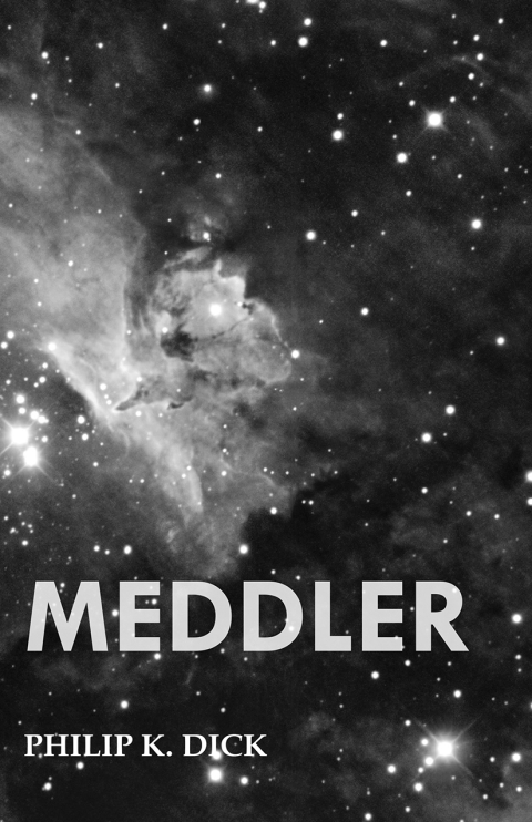 Cover image for book Meddler