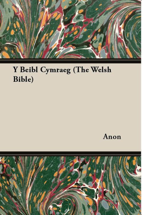 Cover image for book Y Beibl Cymraeg (The Welsh Bible)