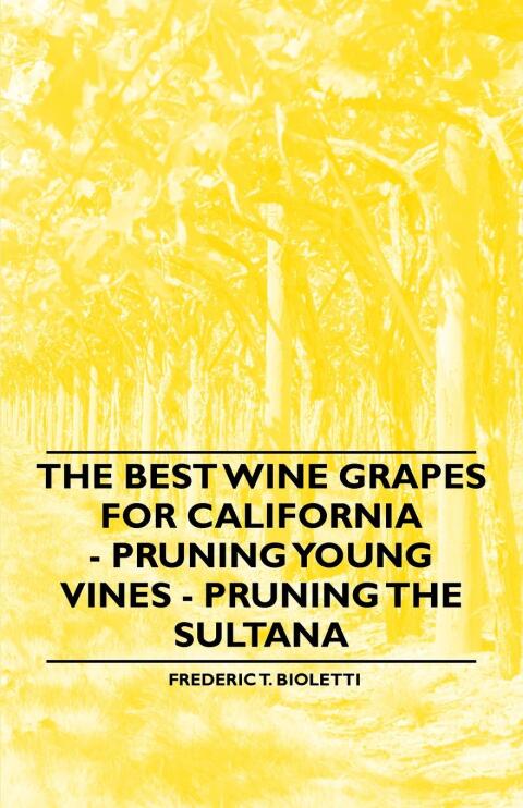 Cover image for book The Best Wine Grapes for California - Pruning Young Vines - Pruning the Sultana
