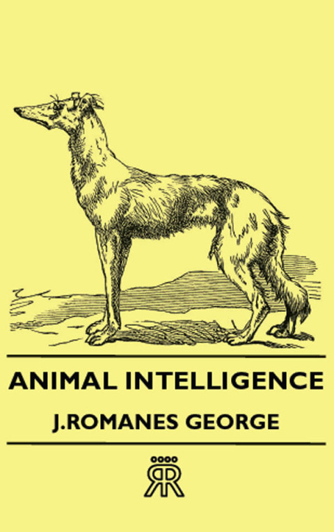 Cover image for book Animal Intelligence