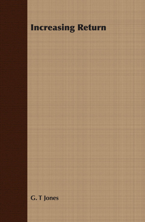 Cover image for book Increasing Return