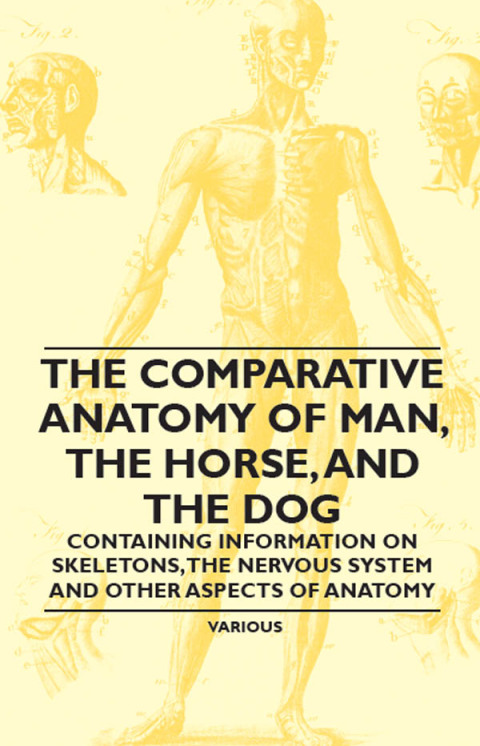 Cover image for book The Comparative Anatomy of Man, the Horse, and the Dog - Containing Information on Skeletons, the Nervous System and Other Aspects of Anatomy
