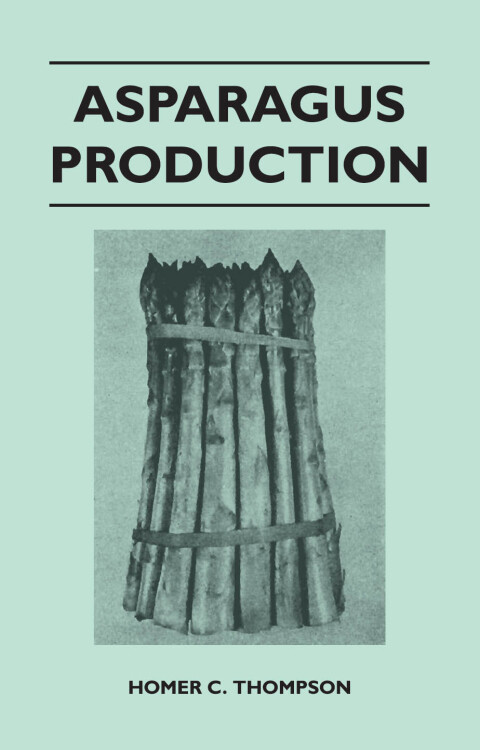Asparagus Production 