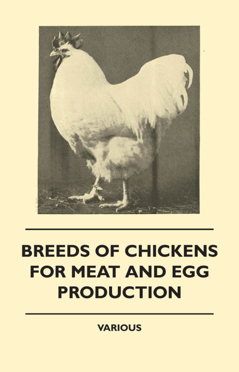 Cover image for book Breeds of Chickens for Meat and Egg Production