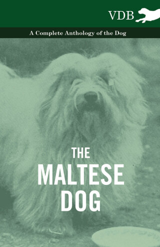 The Maltese Dog - A Complete Anthology of the Dog
