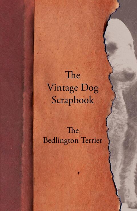Cover image for book The Vintage Dog Scrapbook - The Bedlington Terrier