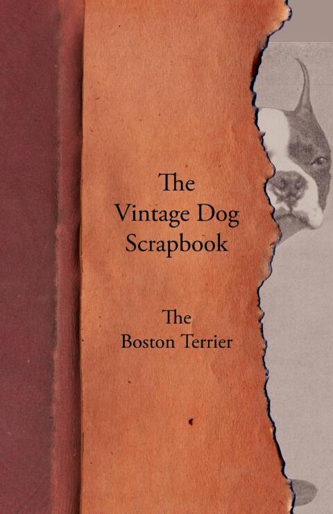 Cover image for book The Vintage Dog Scrapbook - The Boston Terrier