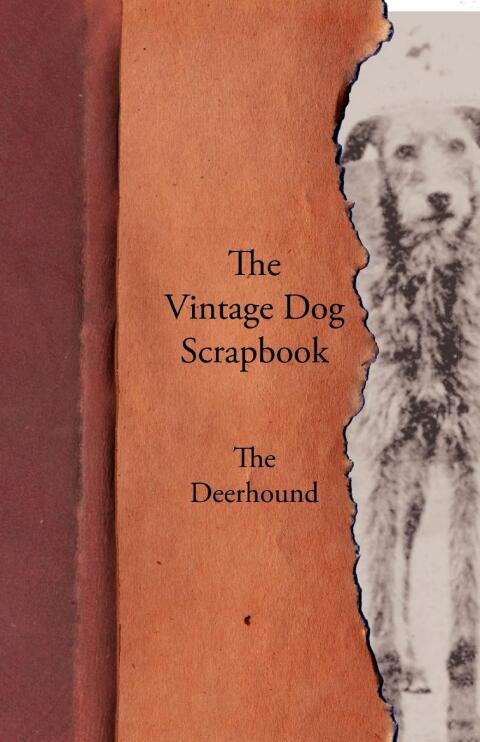 Cover image for book The Vintage Dog Scrapbook - The Deerhound