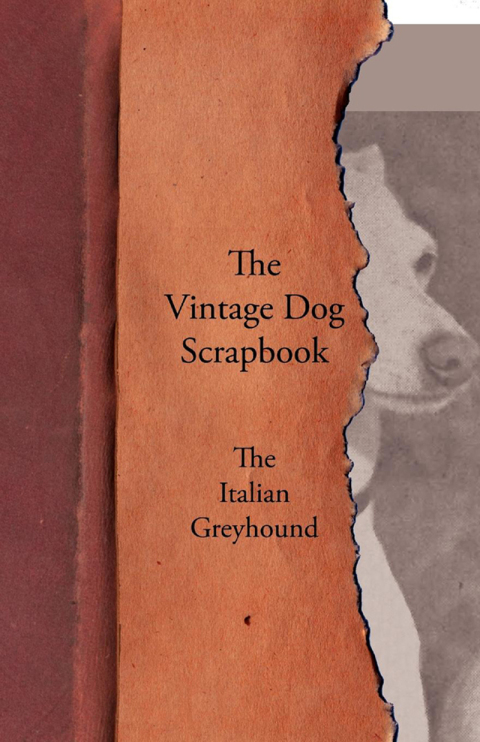 Cover image for book The Vintage Dog Scrapbook - The Italian Greyhound