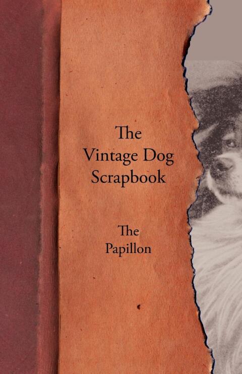 Cover image for book The Vintage Dog Scrapbook - The Papillon