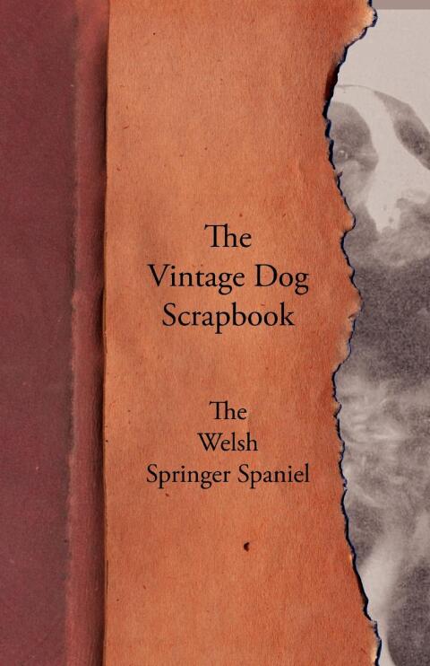 Cover image for book The Vintage Dog Scrapbook - The Welsh Springer Spaniel