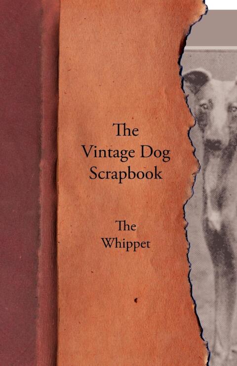 Cover image for book The Vintage Dog Scrapbook - The Whippet