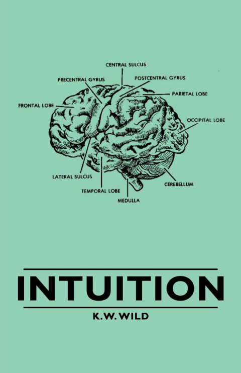 Cover image for book Intuition