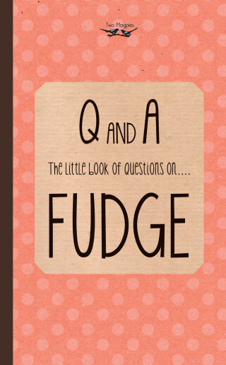 The Little Book of Questions on Fudge