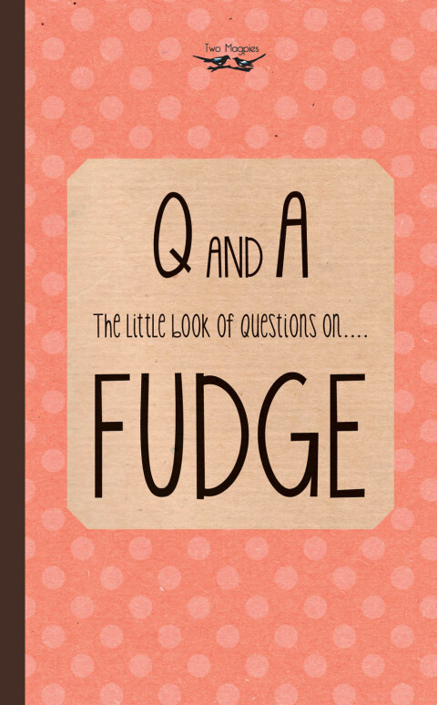 Cover image for book The Little Book of Questions on Fudge