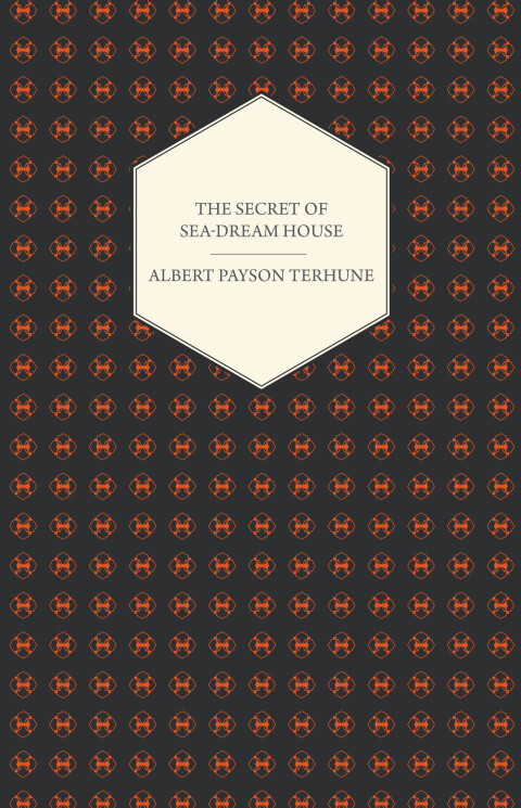 Cover image for book The Secret of Sea-Dream House - A Novel