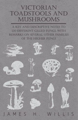 Victorian Toadstools and Mushrooms