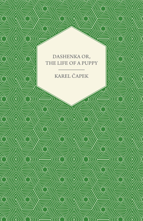Cover image for book Dashenka Or, The Life of a Puppy