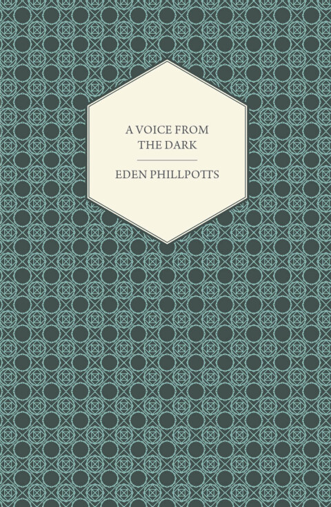 Cover image for book A Voice from the Dark