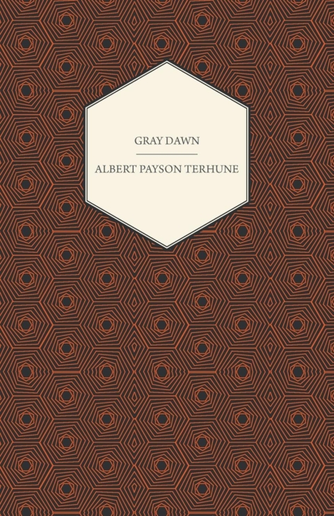 Cover image for book Gray Dawn
