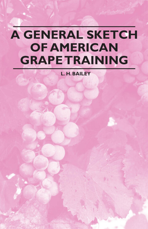 Cover image for book A General Sketch of American Grape Training