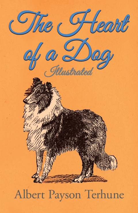 Cover image for book The Heart of a Dog - Illustrated