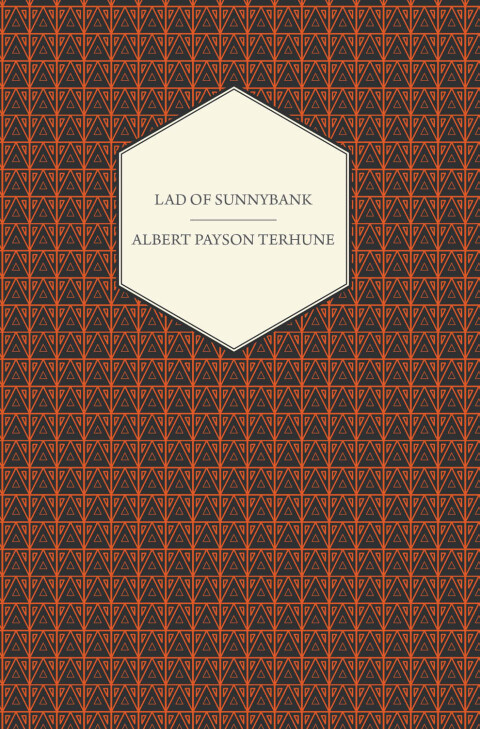 Cover image for book Lad of Sunnybank