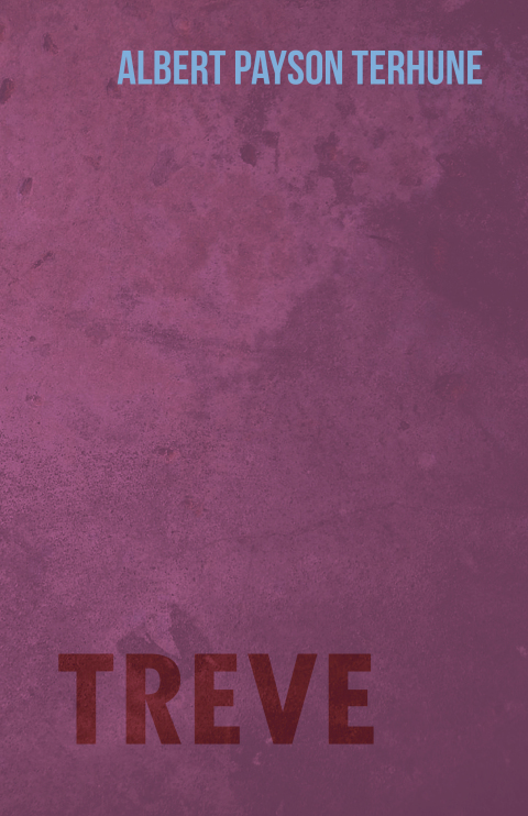 Cover image for book Treve