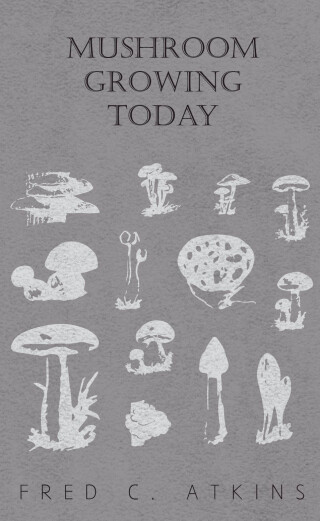 Mushroom Growing Today