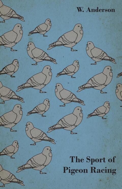 Cover image for book The Sport of Pigeon Racing