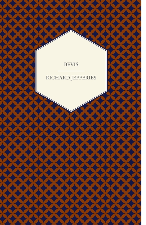 Cover image for book Bevis