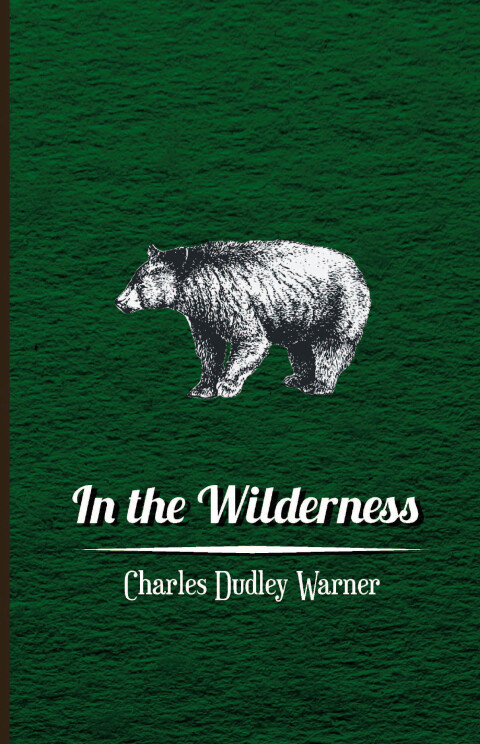 Cover image for book In The Wilderness