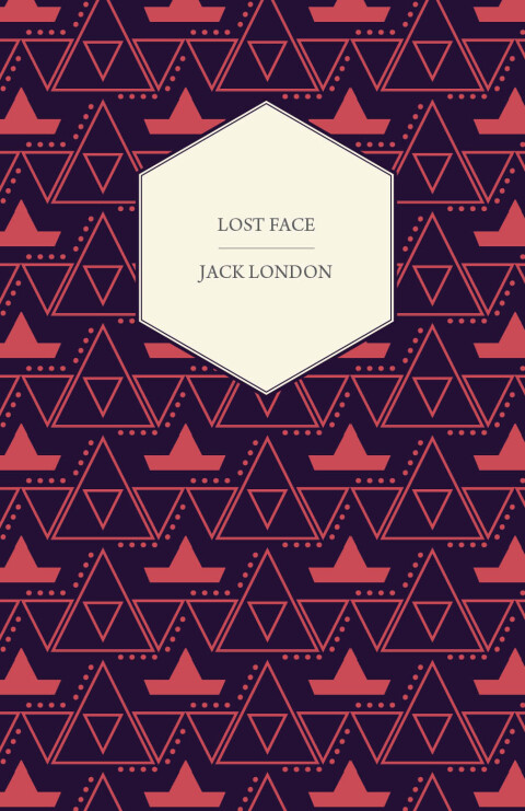Cover image for book Lost Face