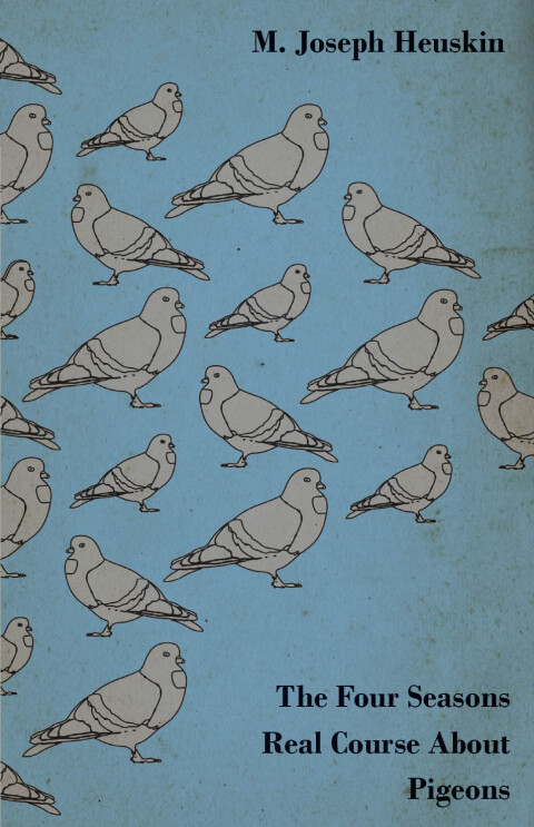 Cover image for book The Four Seasons Real Course About Pigeons