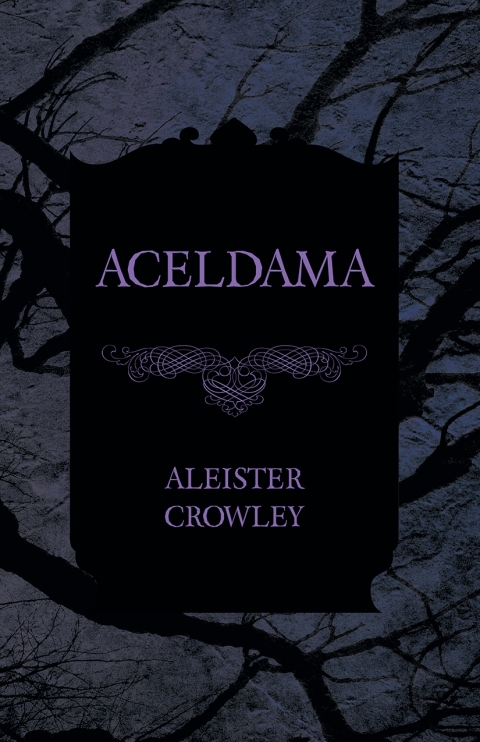 Cover image for book Aceldama