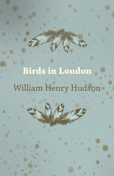 Birds in London 