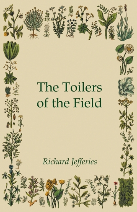 Cover image for book The Toilers of the Field