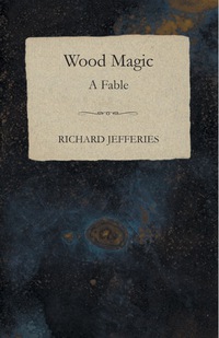 صورة الغلاف: Wood Magic - A Fable 9781473324299