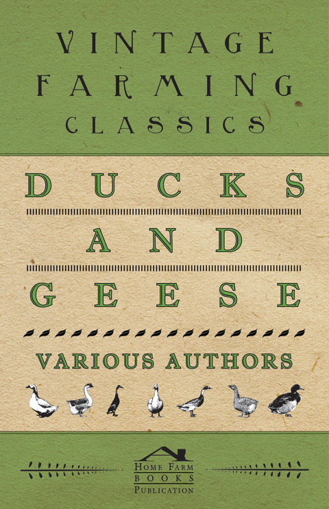 Cover image for book Ducks and Geese