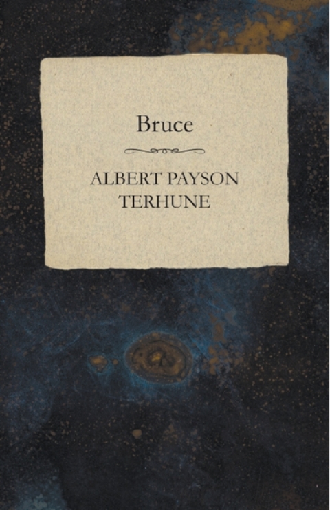 Cover image for book Bruce