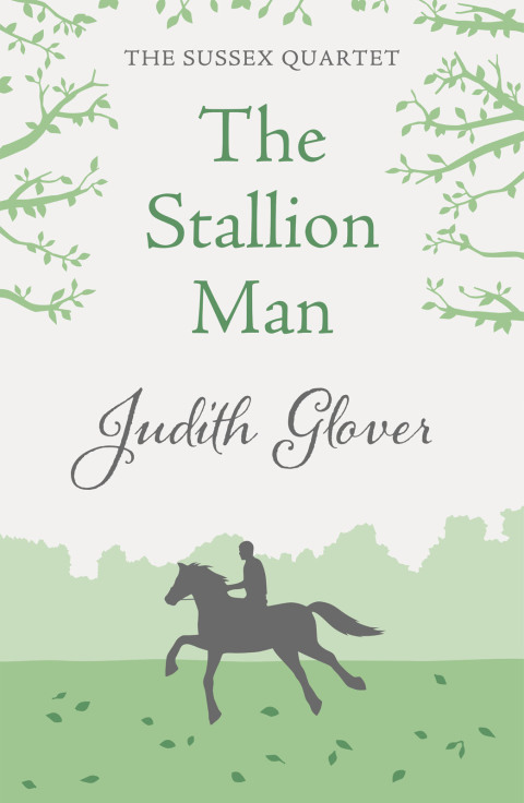Cover image for book The Stallion Man